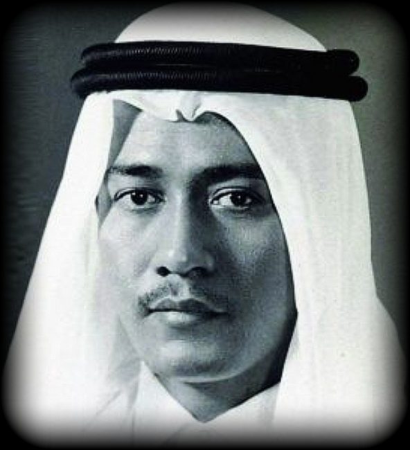 حامد دمنهوري